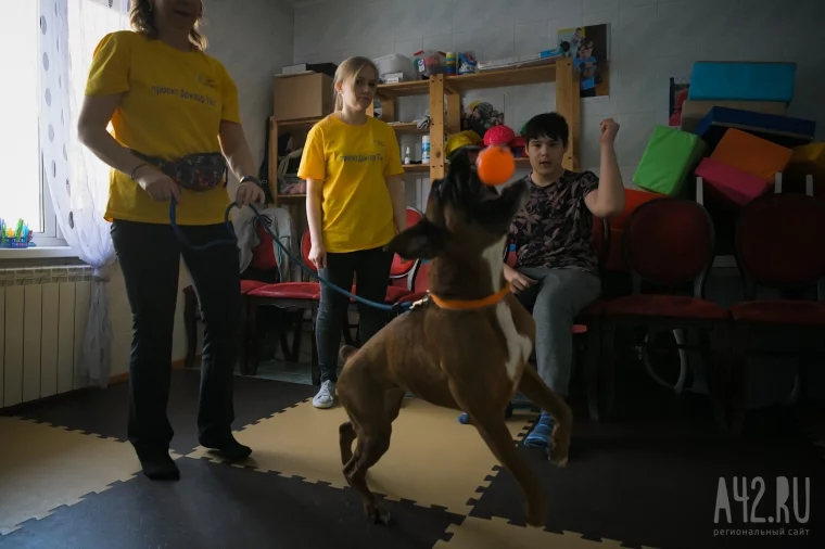 Фото: Доктор пёс. Как волонтёры с собаками учат детей с инвалидностью ходить и говорить 1