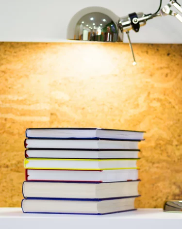 Герои романа «12 стульев» возглавили рейтинг опроса финансового поведения среди россиян