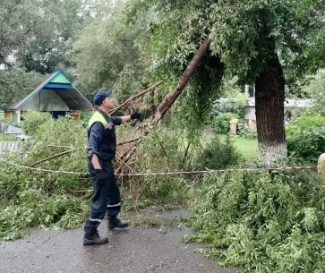 Фото: В Кемерове спасатели продолжают ликвидировать последствия шквалистого ветра 2