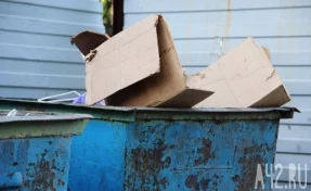 В Италии мужчина случайно выбросил в мусор 20 слитков золота 