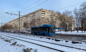 «Едем с ветерком»: в Новокузнецке пассажиры автобуса возмутились водителю, который не закрыл дверь во время движения