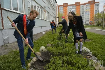 Фото: Выпускники кемеровских школ посадили «Сад памяти» 1