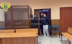 Похищенного в Москве блогера Арега Щепихина* приговорили к 5 годам колонии