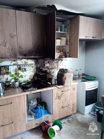 Фото: В Уфе голодные кошки устроили пожар в квартире  1