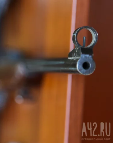 Кузбассовцу вынесли приговор за незаконный склад оружия и боеприпасов