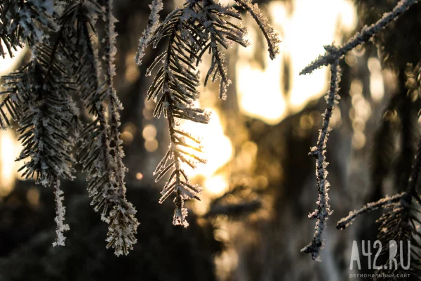В Кузбассе потеплеет до -2 после 40-градусных морозов