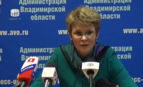 Вице-губернатор Владимирской области задержана по подозрению во взятке