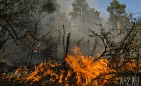 В селе Ижморского района сгорели более 25 домов 