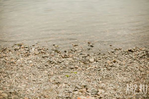 В Кузбассе суд на 90 дней остановил работу артели по добыче золота