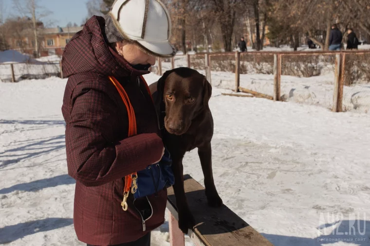 Фото: Развалины и грязь. Как мы обходили площадки для выгула собак в Кемерове и Новокузнецке 30