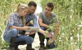 РСХБ назвал регионы, которые готовят больше всего молодых аграриев