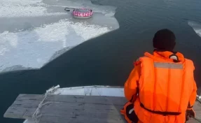 В Новосибирске провалившуюся под лёд 8-летнюю девочку ищут водолазы