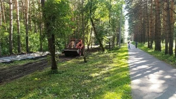 Фото: В Кузбассе в 2022 году отремонтировали свыше 240 дворов и 40 мест отдыха  1