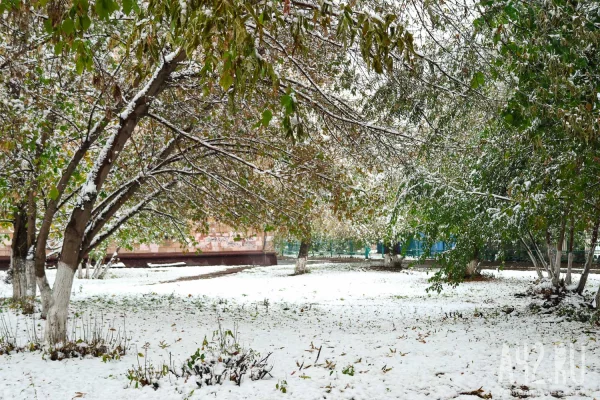 Иванов день: народные приметы на 1 ноября