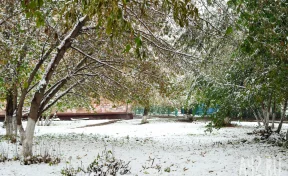 Иванов день: народные приметы на 1 ноября