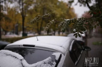 Фото: В Кузбассе на неделе похолодает до -5 и пойдёт мокрый снег 1