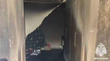 Фото: В Кемерове на пожаре на бульваре Строителей спасли 23 человека 1