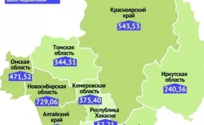 Кузбасс вошёл в пятёрку регионов Сибири, которым выделят больше всего денег на выплаты медикам