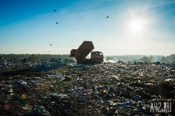 Фото: На вывоз мусора из Кемерова планируют потратить более 300 млн рублей 1
