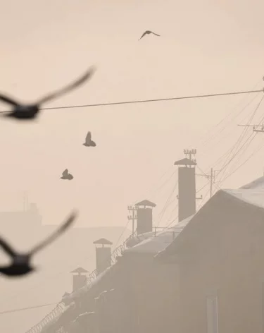 Вильфанд: В Сибири ожидаются сильные морозы