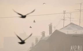 Вильфанд: В Сибири ожидаются сильные морозы