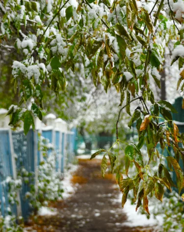 День Казанской иконы Божией Матери: приметы и гадания на 4 ноября