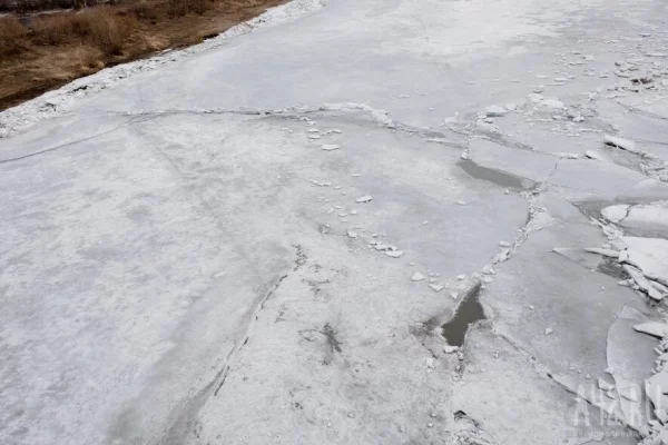 Девочки 9 и 10 лет провалились под лёд в Калининграде, их спасли прохожие