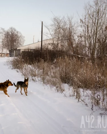 Фото: A42.RU