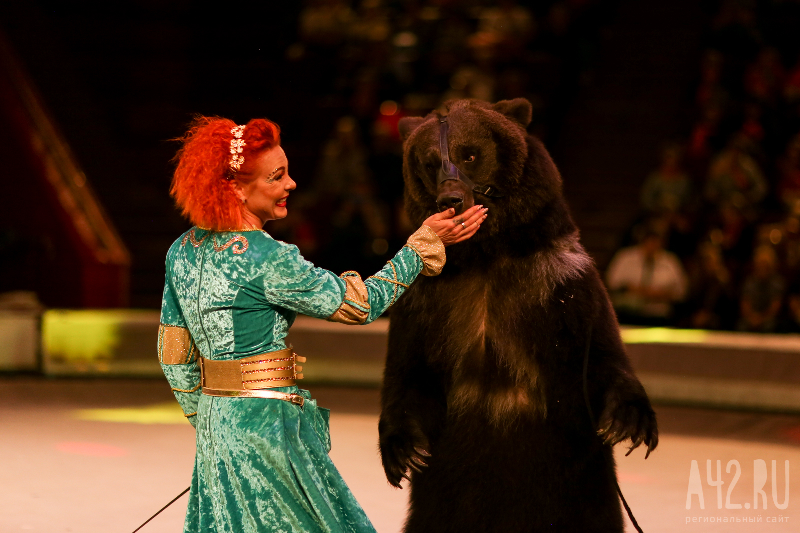 Бал под куполом, медведь-трубач и лихие казаки: что приготовили в кемеровском цирке к началу сезона