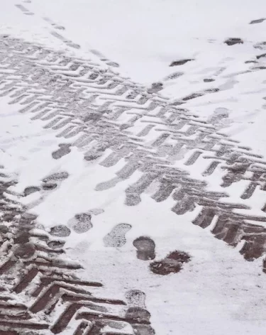 Фото: А42.RU