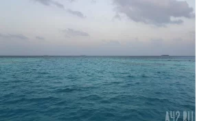 США разрешили продажу российской нефти, погруженной на суда до 12 марта