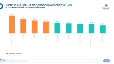 Фото: В Кузбассе за неделю цены на помидоры выросли на 8,5% 1