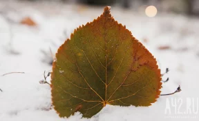 Не стричь волосы и не ругаться: народные приметы на 10 октября