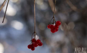 Анастасия Овчарница: народные приметы на 11 ноября