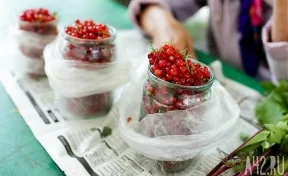 Диетолог назвала самые полезные для иммунитета ягоды
