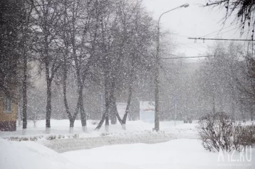 Фото: В Екатеринбурге прохожие заметили ребёнка, гуляющего в носках по снегу рядом с мамой 1