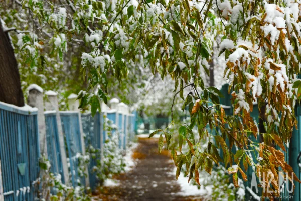 День Казанской иконы Божией Матери: приметы и гадания на 4 ноября
