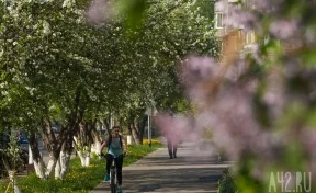 Синоптики рассказали, какая погода ожидается в Кузбассе в мае