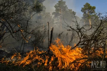 Фото: В селе Ижморского района сгорели более 25 домов  1