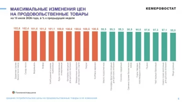 Инфографика: Кемеровостат