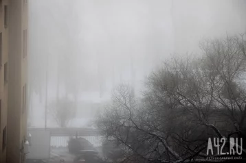 Фото: Синоптики раскрыли причину сильного тумана, накрывшего Кузбасс 1