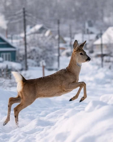 Фото: сгенерировано ChatGPT по запросу А42.RU