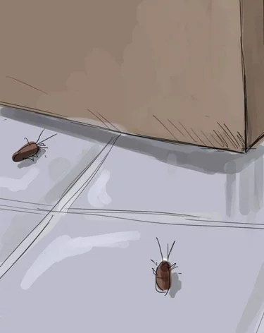 В Кемерове жильцы запенили дверь в квартиру из-за тараканов