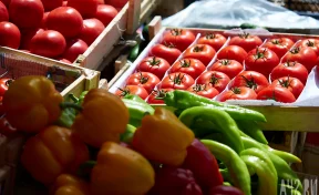 За январь 2026 года в Кузбасс завезли почти 240 тонн овощей из Казахстана