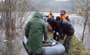 Четыре кузбасских рыбака стали заложниками подтопленного островка