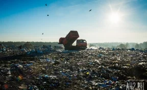 На вывоз мусора из Кемерова планируют потратить более 300 млн рублей