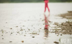Водолазы завершили обследование пруда в Москве, где нашли голову ребёнка