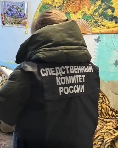 Фото: <a href=https://t.me/susk36vrn/5613>СУ СК России по Воронежской области</a> / Telegram