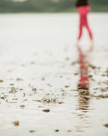 Водолазы завершили обследование пруда в Москве, где нашли голову ребёнка
