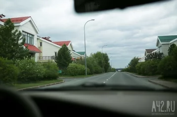 Фото: В Кемерове три зайца гуляли по пустой дороге: их сняли на видео 1